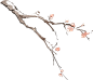 水墨冬季节气插画-红梅