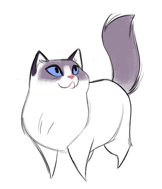 Daily Cat Drawings —...