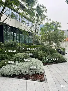 一款低维护、免打理的花境搭配，点赞收藏植物清单 等春天照抄作业喔～ #花园生活 #植物造景 #庭院设计 #花境#浪漫生活的记录者 #花园设计 ...