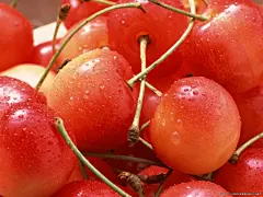 致命的诱惑：鲜美的樱桃壁纸桌面壁纸1