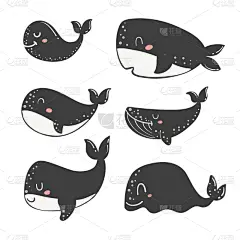 乱画,鲸,可爱的,濒危物种,热带气候,环境保护,逆戟鲸,哺乳纲,动物群,动物