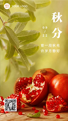 贫道番茄采集到食品类
