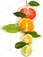 柑橘属,高视角,垂直画幅,无人,组物体,特写,橙子,柠檬,在上面,酸橙