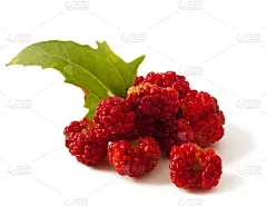 切诺波迪姆作品集