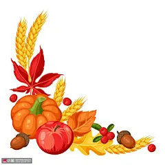 麦穗秋收果实粮食彩色手绘秋季插画 季节插画 秋季插画