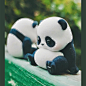 Panda Roll日常系列熊猫滚滚盲盒2020网红新款女生版摆件公仔手办-tmall.com天猫