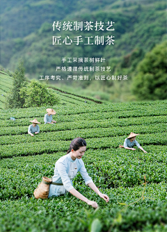 fiDFRVVu采集到茶