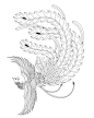 凤凰线稿素材合集 - 小红书