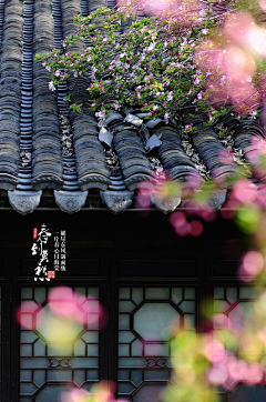 梦诗星河采集到旅游