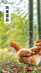 一米市集Yimishiji｜跟友善农夫，买一份诚食