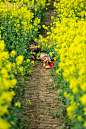 人,休闲装,农业,自然,户外_148089229_Hidden in field_创意图片_Getty Images China