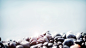 pebbles rocks stones wallpaper (#1254154) / Wallbase.cc