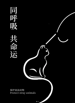 用户h0m2PSf5采集到包装海报
