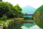 延庆野鸭湖：北京独一无二的鸟类的家园