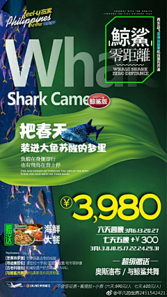 想你恋你采集到4月
