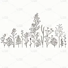 向量插图与一套野生植物