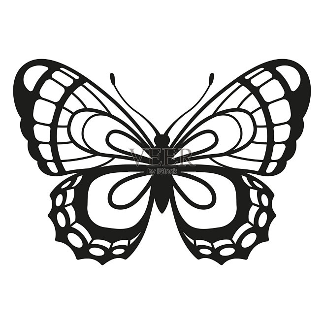 矢量轮廓优雅的蝴蝶孤立在白色背景图片-商...