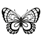 矢量轮廓优雅的蝴蝶孤立在白色背景图片-商业图片-正版原创图片下载购买-VEER图片库