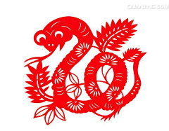 形散如烟采集到生肖