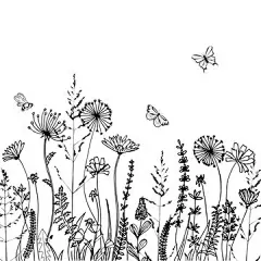 图源免费EPS文件 |白色背景上孤立的草、穗和草本植物的黑色剪影。手绘的花朵和蜜蜂草图。填色书页设计，家居装饰和纺织品的元素。 