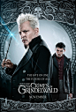 Fantastic Beasts: The Crimes of Grindelwald