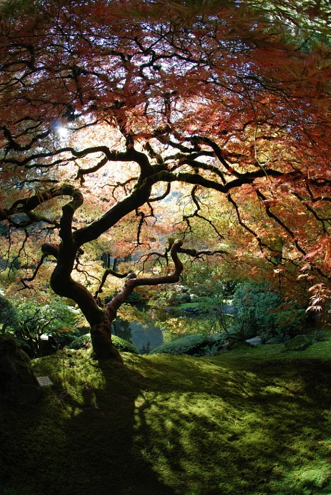 Portland Japanese Ga...