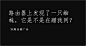文案公社