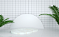 摄图网_401931798_小清新植物展台（非企业商用）