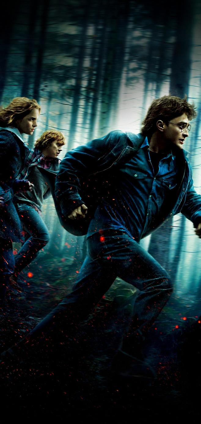 22801080壁纸哈利波特5