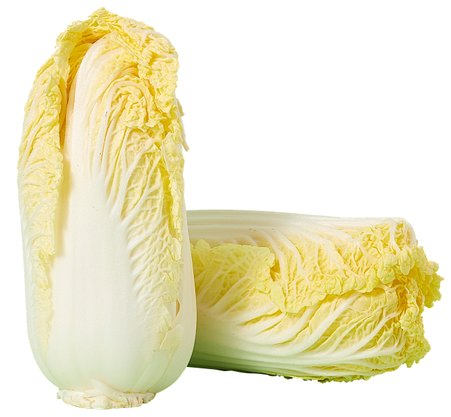娃娃菜