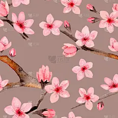 无缝图案手绘水彩樱花，花朵精致。日本的樱花。设计婚礼请柬，面料，包装，纺织品，封面，明信片，纸，贺卡