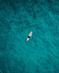 Coral reef from above photo by Ishan @seefromthesky (@seefromthesky) on Unsplash : Download this photo in Maaenboodhoo, Maldives by Ishan @seefromthesky (@seefromthesky)