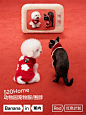 左拥右抱，猫狗双全 - 小红书