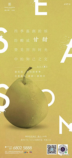 采集到食品 海报