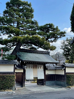 Ann丹采集到入口