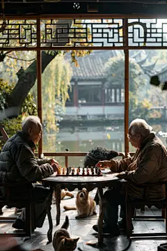 下棋的老人公益项目