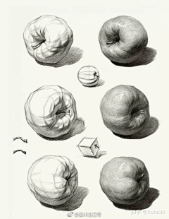 WANG~xiaoxiao采集到素描