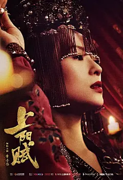 上阳赋 海报