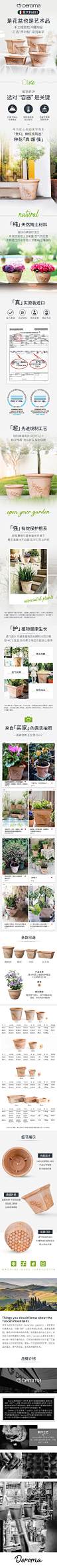 详情/页面/二级页/活动/氛围/花卉/盆器/产品/价格/专享/特惠/潮流/新风尚/植物/绿植/春天/夏天/清新/帝罗马/橄榄枝