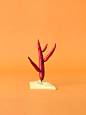 Carl Kleiner 蔬菜水果的艺术 - 广告摄影 - CNU视觉联盟