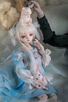 瑞大头采集到bjd
