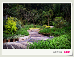 原来是是是菠萝呀采集到景观设计---乡村振兴
