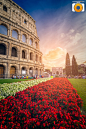 【美图分享】sunprojec 的作品《Colosseo》 #500px#