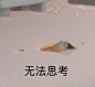 光遇表情包