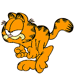 加菲猫
