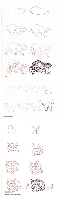 羊高兴的样子采集到practice