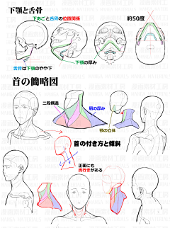 练习样本图册采集到人体结构