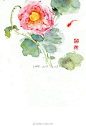 夏天，当然少不了荷花啦，把家里的荷花画了遍<br/>#水彩花卉# ​​​​