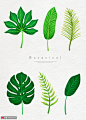 热带植物 六种绿色叶子 水彩手绘插画PSD植物花卉素材下载-优图网-UPPSD
