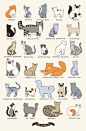 cats!